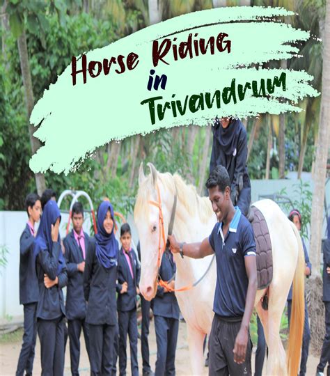 Horse Riding in Trivandrum - Book Now @ Rs.1499 (17% off)