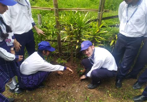 Activities NSS - Him Academy Public School