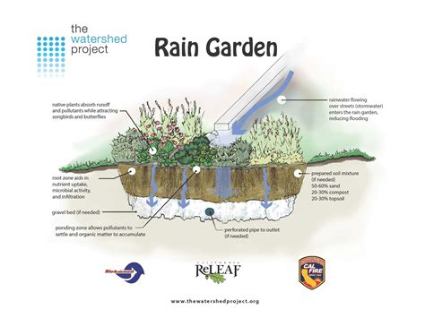 How to create a rain garden – Artofit