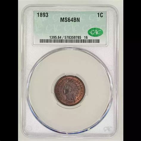 1893 Indian Head Cent CACG MS 64 BN CAC - Old Pueblo Coin