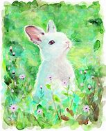 Image result for Painted White Cute Bunny