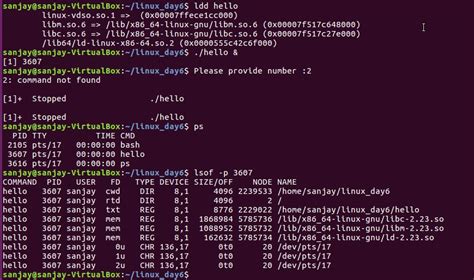 Image result for Linux Development