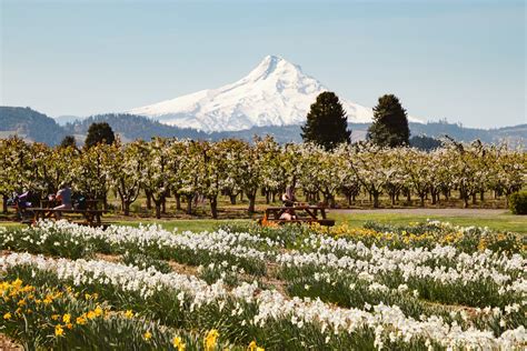 How to Spend a Weekend in the Columbia River Gorge and Hood River ...