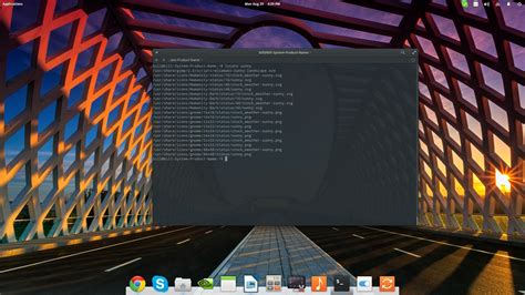 Linux Find Files at Donald Beach blog