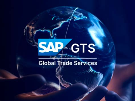 Image result for SAP GTS Implementation Guide