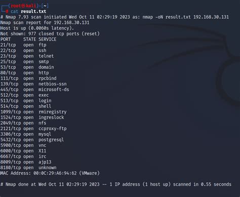 Nmap Output Examples 的图像结果