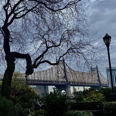 IMG_7204 | Maxine Mayer | Flickr