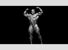 The Complete Mr. Olympia Winners Gallery | Muscle & Fitness