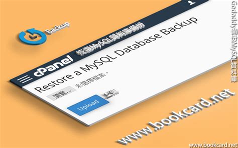 Goodaddy Upload a SQL Server Database 的图像结果