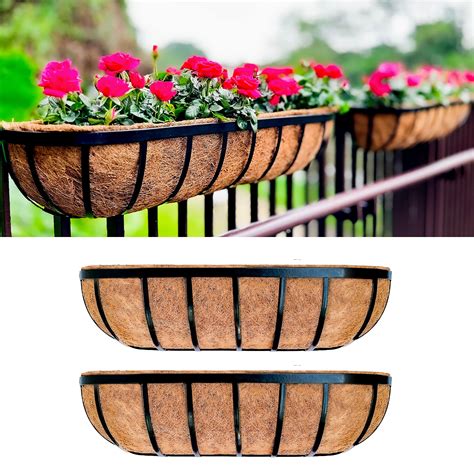 Outdoor Plants Patio