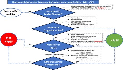 How to Manage Heart Failure With Preserved Ejection Fraction: Practical Guidance for Clinicians ... - what is ejection fraction
