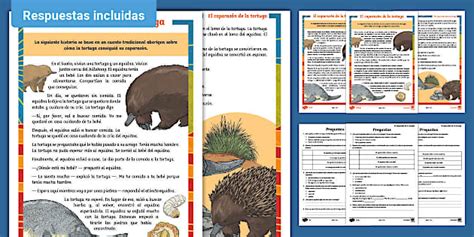 Comprensión lectora por niveles: El caparazón de la tortuga