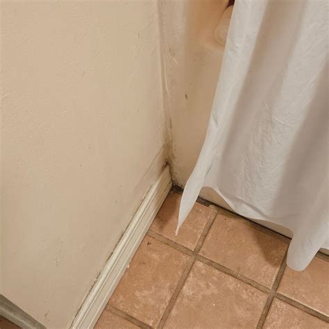 EDGEWATER INN (Biloxi) - Motel Reviews, Photos, Rate Comparison ...