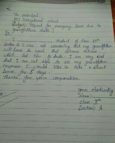 Write a letter to a class teacher asking for level due to high fever ...