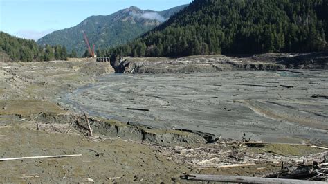 Blast brings down last of Glines Canyon Dam; Elwha River flows free ...