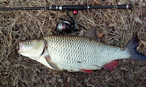Звіт з рибалки Перший весняний трофей - Rivnefish