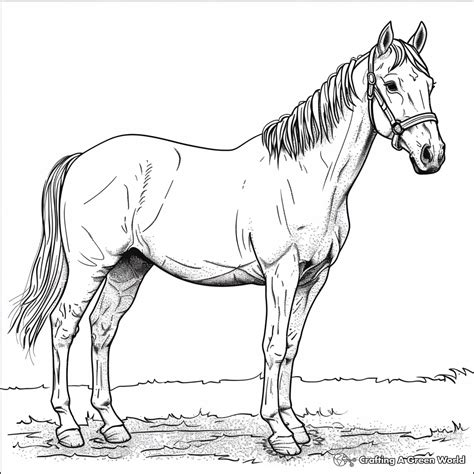 Realistic Coloring Pages - Free & Printable!