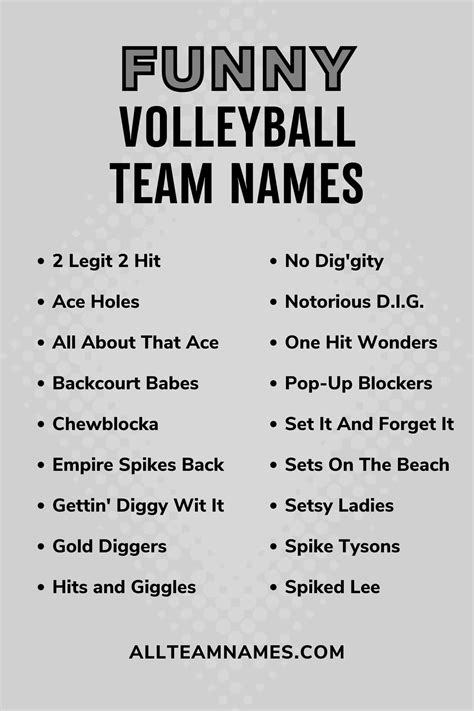 111 Volleyball Team Names That Are A Hit