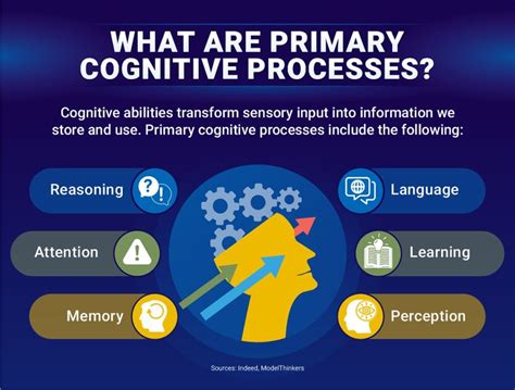 Cognitive Process Examples 的图像结果