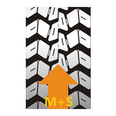 Midas | MML (L)