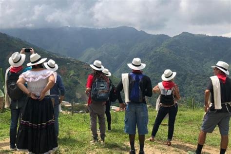 Half day coffee tour & fruit tasting 2021 - Medellín - Viator