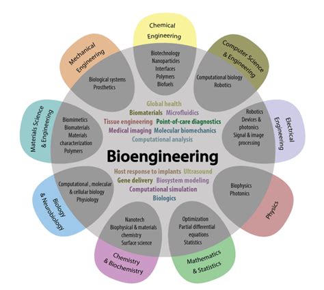 Image result for Introduction to Bioengineering