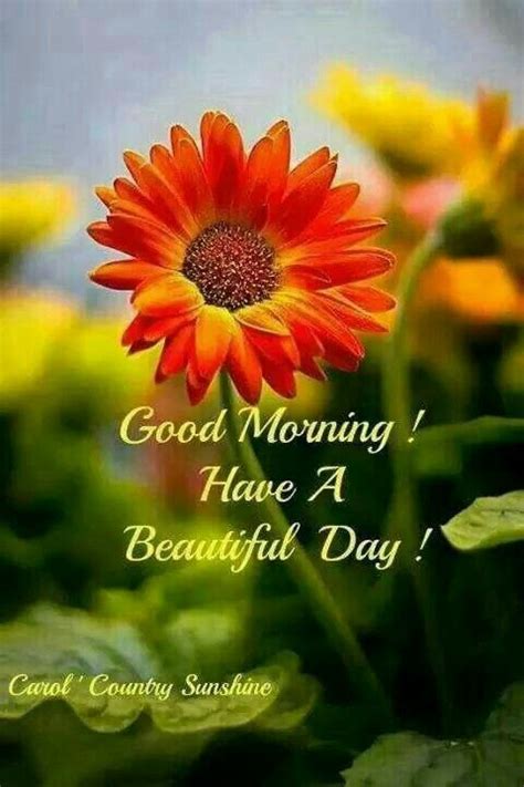 Image result for Have Beautiful DaySpring