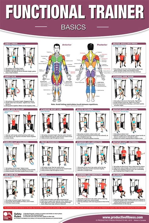 Image result for Functional Exercises Print Out