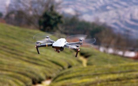 Aerial Image Using DJI 的图像结果