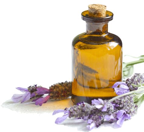 Lavender Oil transparent PNG - StickPNG
