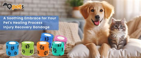 Buy Qpets® 6Pcs Dog Bandages for Walk, Self-Adhesive Pet Bandage with ...