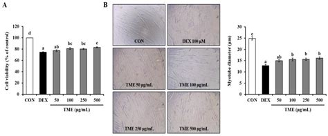 Mealworm Ethanol Extract Enhances Myogenic Differentiation and ...