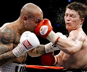 Boxing Counter Attacks 的图像结果