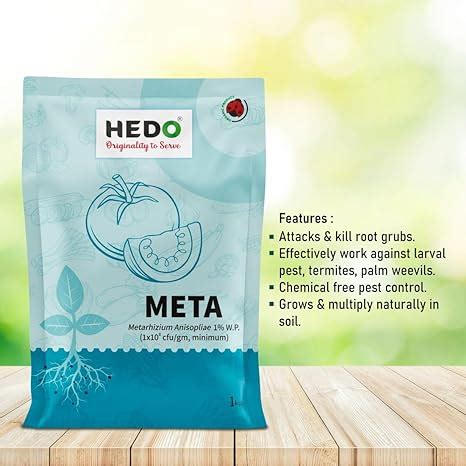 Metarhizium Anisopliae powder (1x10^8 CFU/gm) Bio-Organic (1Kg) For Pl ...