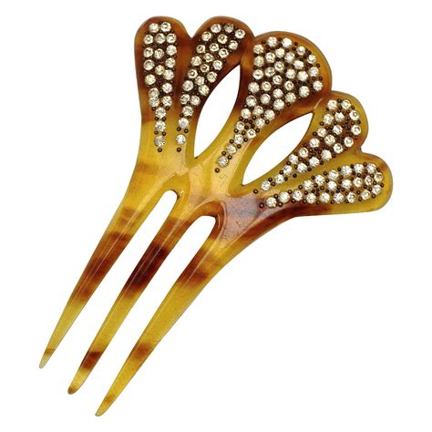 Grand French Hair Comb with Natural Coral at 1stDibs | coral hair comb