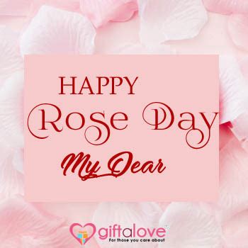 200+ Happy Rose day quotes | Best Rose Day messages, wishes and Greetings
