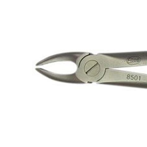 Eltee Extraction Forceps Adult Upper Anterior | Libral Traders