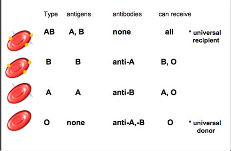 Biology - Blood and circulation Flashcards | Quizlet