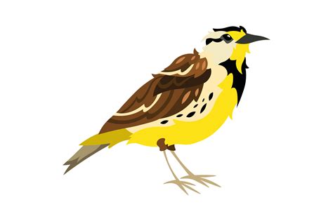 Nebraska State Bird - Western Meadowlark SVG Cut file by Creative ...