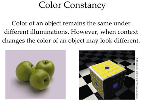 Image result for Color or Brightness Constancy