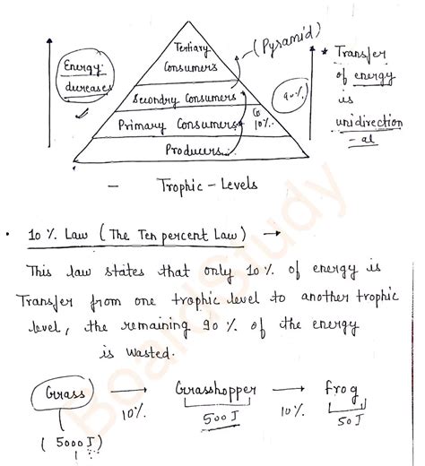 Image result for Class 10 Science Chapter 15 Notes