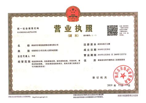 湖南省洋沙湖危险废物治理有限公司营业执照、经验许可证
