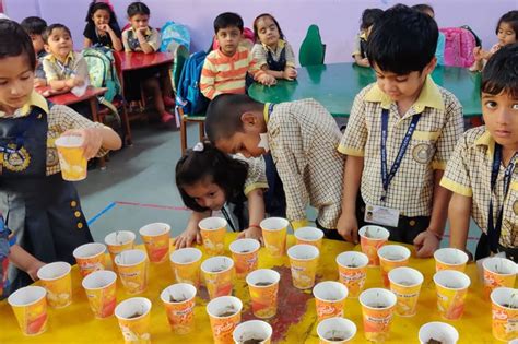 Science CBSE Experiments 的图像结果