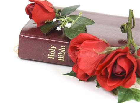 Image result for Beautiful Roses with Scripture