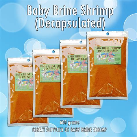 Fish Fry Baby Brine Shrimp at Jorge Damon blog