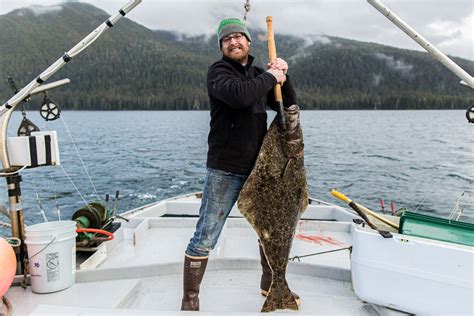 Halibut Fishing Alaska: Guide & Charter Recommendations