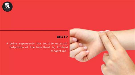 What Is Pulse Rate 的图像结果