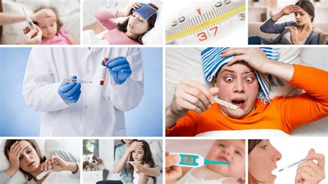 Image result for Normal Temp Range Human