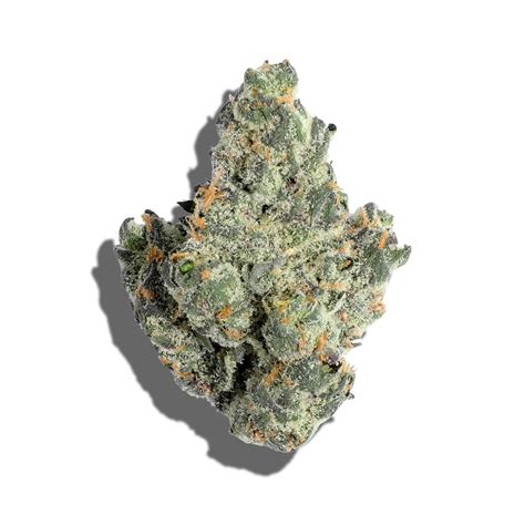 Godfather OG Strain Review: Effects, Flavors & Growing Tips – Hey abby