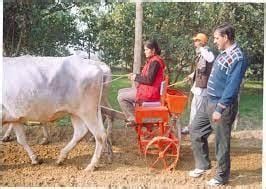 Livestock - 1 Worksheet Solutions - Class 4 Social Studies - Solved ...
